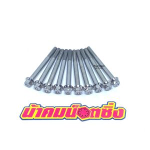 น้าคมน๊อตซิ่ง น๊อตเบอร์10(M6*70)งานกลึงมือเลส (ราคาต่อ 1 ตัว)