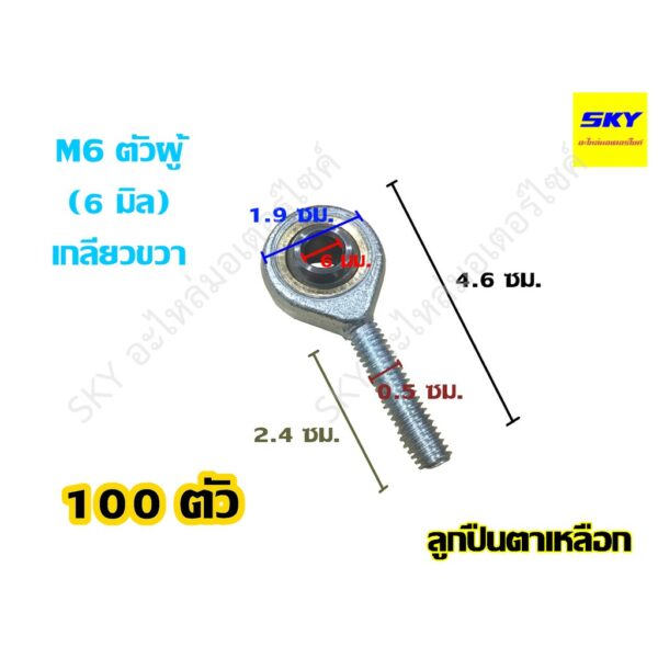 [ขายส่ง 100 ตัว] ลูกปืนตาเหลือก Rod End M6 ขนาดรู 6 มม. ตัวผู้ เกลียวขวา เทียบเท่าน๊อตสกรูเบอร์ 10