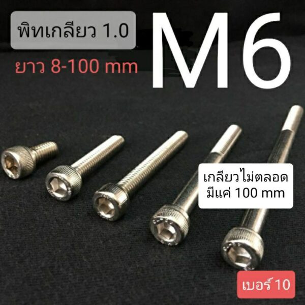 M6 สกรูหัวจมสแตนเลส น็อตหกเหลี่ยม SUS เกรด 304