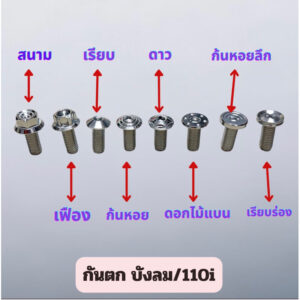 น็อตชุดกันตกW125iไฟเลี้ยวบังลม w110iทุกปี 1ชุด4ตัว มีหลายลาย สแตนเลสแท้เกรด304 ราคาชุดละ